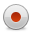 Record Button icon